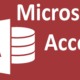 MS Access